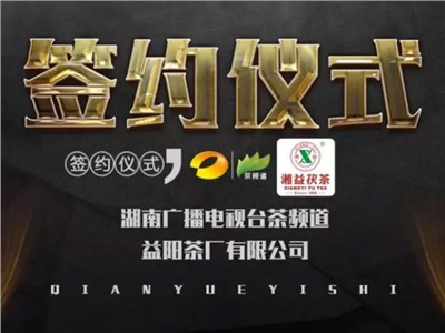湘益茯，美茗揚 丨湘益茯茶與茶頻道達成長期戰(zhàn)略合作